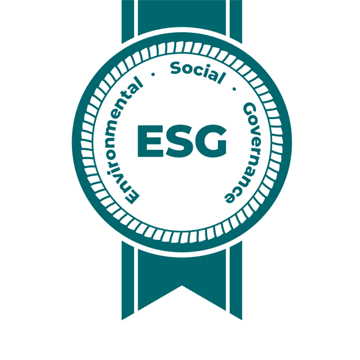 Eine Vielzahl an Reifen und Felgen im gut sortierten Lager von Gundlach Automotive.